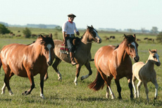 Extension de s&eacute;jour dans la pampa pr&egrave;s de Buenos Aires - RANDOCHEVAL