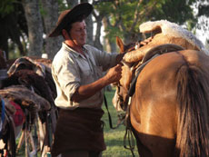 Sellerie recado sur l'extension - RANDOCHEVAL