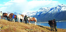 Extension de s&eacute;jour en Estancia au pied du glacier Perito Moreno - Patagonie / Argentine - Randocheval / Absolu Voyages