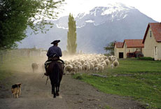 Extension de s&eacute;jour au pieds du Perito Moreno - RANDOCHEVAL