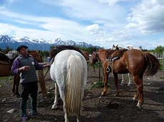 Extension de s&eacute;jour en Estancia au pied du glacier Perito Moreno - Patagonie / Argentine - Randocheval / Absolu Voyages