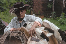 Meeting with the local gauchos in Argentina - Randocheval