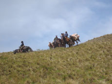 During our trail ride in Salta area - Randocheval