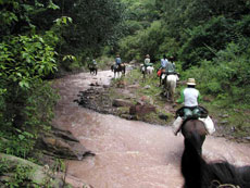Across the river on horseback in Argentina - Randocheval