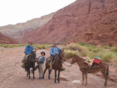 Meeting with the Criollo horses in Argentina, Salta - Randocheval / Absolu Voyages