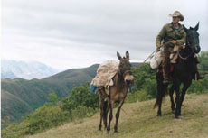 Logistic and guide in Salta, Argentina - Randocheval / Absolu Voyages