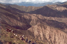 The Inca Trails on horseback in Salta, North Argentina - Randocheval / Absolu Voyages
