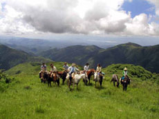 Mountain forest in Salta, Argentina - Randocheval / Absolu Voyages