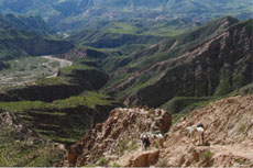 Randonn&eacute;e &eacute;questre dans la Cordill&egrave;re des Andes, dans la r&eacute;gion de Salta (Argentine) - Rando Cheval / Absolu Voyages
