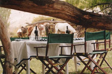 Lunch in Salta's Mountain - Randocheval / Absolu Voyages