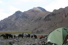 Campement sur les sommets - RANDOCHEVAL