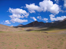 Plateau d'altitude dans les Andes - Travers&eacute;e des Andes avec Randocheval