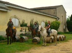 Randonn&eacute;e &eacute;questre &agrave; la d&eacute;couverte des grands vins de Bordeaux - Randocheval