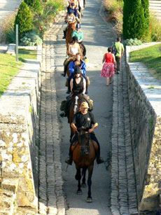 A la d&eacute;couverte des vignobles du Bordelais - Randocheval