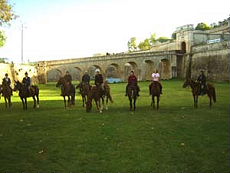 Horseback trail ride in Bordeaux area - Randocheval / Ride in France