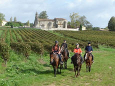 Horseback holidays in Bordeaux region - Randocheval / Ride in France