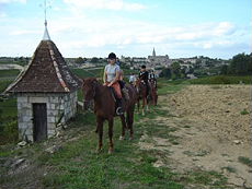 Trail ride in Bordeaux area landcapes
