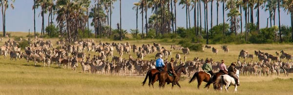 Safari à cheval dans le Kalahari