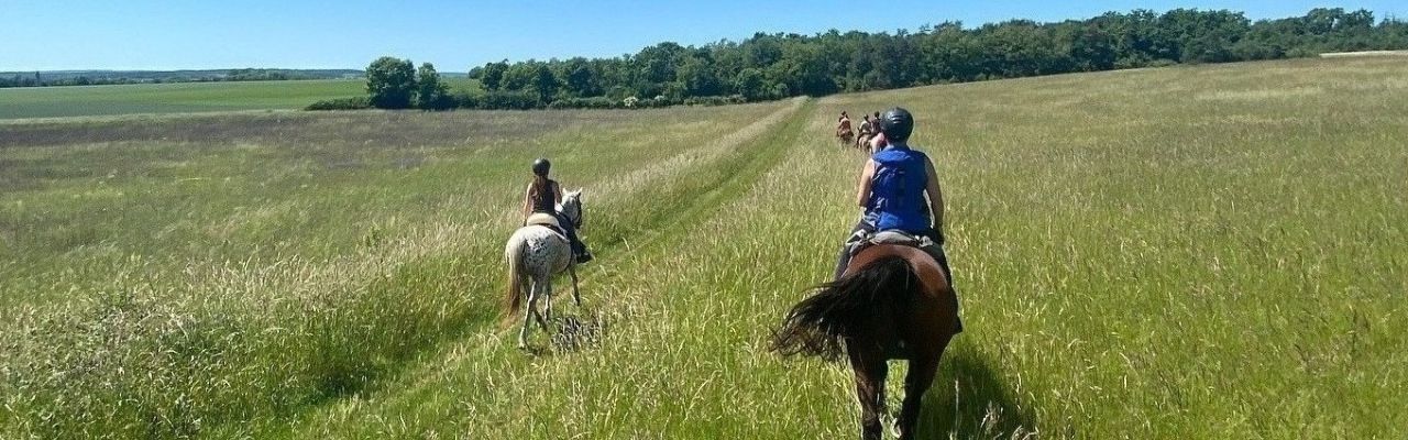 Voyage à cheval - Randonnée équestre organisée par Randocheval