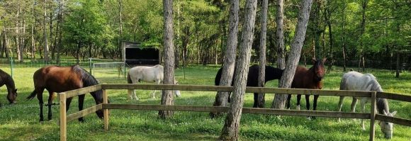 Randonnée équestre, Bourgogne les 3 Rivières - RANDOCHEVAL