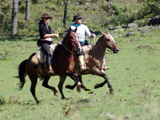 Br&eacute;sil : Sur les sentiers des gauchos - Cavaliers au galop /Randocheval