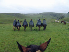 Br&eacute;sil : Sur les sentiers des gauchos - Cavaliers sous la pluie /Randocheval