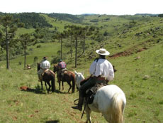 Br&eacute;sil : Sur les sentiers des gauchos - Cavaliers dans les collines ondulantes du Coxilha Rica /Randocheval