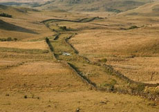 Br&eacute;sil : Sur les sentiers des gauchos - paysages des hauts plateaux /Randocheval