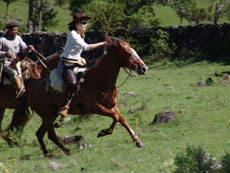 Br&eacute;sil : Sur les sentiers des gauchos - Cavaliers au galop /Randocheval