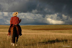 Br&eacute;sil : Sur les sentiers des gauchos - Gaucho dans la pampa /Randocheval