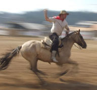 Br&eacute;sil : Sur les sentiers des gauchos - Gaucho au triple galop /Randocheval