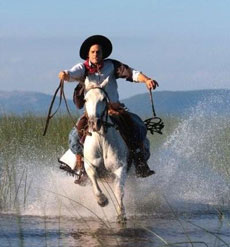 Gauchos &agrave; la poursuite d'une vache &eacute;chapp&eacute;e au Br&eacute;si l- RANDOCHEVAL