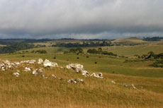 Br&eacute;sil : Sur les sentiers des gauchos - Paysages des hauts plateaux du Coxilha Rica /Randocheval
