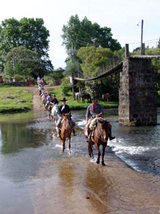 Br&eacute;sil : Sur les sentiers des gauchos - Travers&eacute;e de gu&eacute; /Randocheval