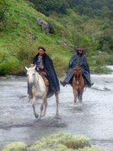 Br&eacute;sil : Sur les sentiers des gauchos - Travers&eacute;e de gu&eacute; /Randocheval
