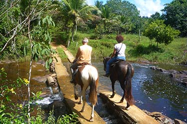 Rando Cheval - Voyage à cheval