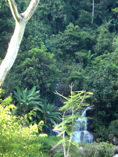 Brésil -Randonnée équestre Canyons et cascades / Randocheval/Absolu Voyages