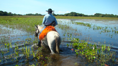 Brazil - Pantanal safari ride / Randocheval