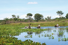 Brazil : horse riding safari in the Pantanal / Randocheval