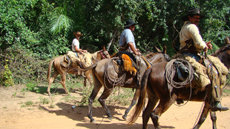 Brazil : horse riding safari in the Pantanal / Randocheval