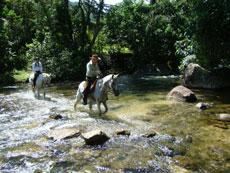Br&eacute;sil - RAndonn&eacute;e &eacute;questre dans la Djungle de Darwin - RAndocheval/Absolu Voyages