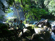 Brazil/Rio de Janeiro : Jungle trail /Randocheval