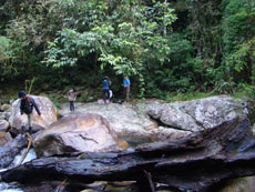 Br&eacute;sil - RAndonn&eacute;e &eacute;questre dans la Djungle de Darwin - RAndocheval/Absolu Voyages