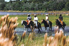 Randonn&eacute;e &eacute;questre au Br&eacute;sil, safari sud-am&eacute;ricain &agrave; cheval dans les fazendas du Pantanal - Randocheval / Absolu Voyages