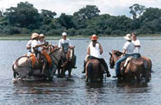 Randonn&eacute;e &eacute;questre au Br&eacute;sil, safari sud-am&eacute;ricain &agrave; cheval dans les fazendas du Pantanal - Randocheval / Absolu Voyages