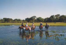 Horse riding saty in Sao Joaquim Park, in the State of Santa Catarina - Rando Cheval / Absolu Voyages