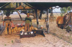 Randonn&eacute;e &eacute;questre au Br&eacute;sil, safari sud-am&eacute;ricain &agrave; cheval dans les fazendas du Pantanal - Randocheval / Absolu Voyages