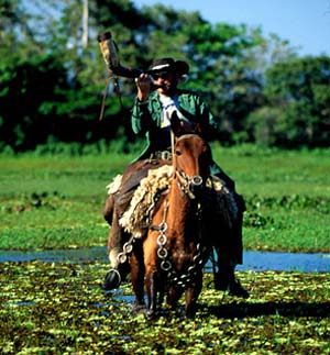 Brazil - Trail ride to the Pantanal