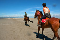 Randonn&eacute;e &eacute;questre en Bretagne - Randocheval / Absolu voyages