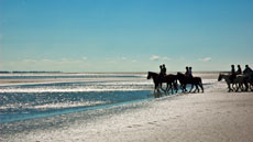 Travers&eacute;e de la Baie en fin de semaine, un moment inoubliable - Randocheval
